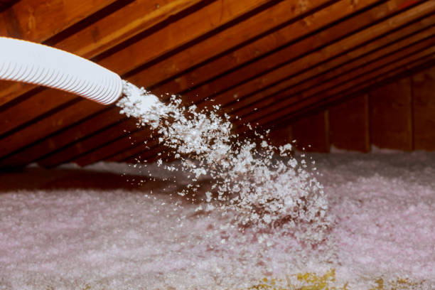 Best Residential Insulation in Tower Lakes, IL