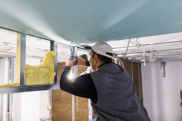 Best Insulation Materials and Products in Tower Lakes, IL